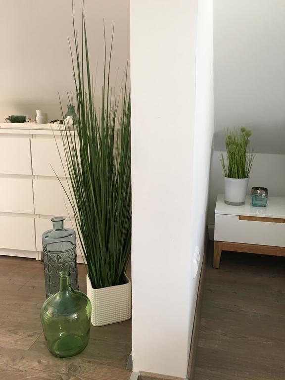 Ferienhaus Zur Mainpforte Mainz Luaran gambar
