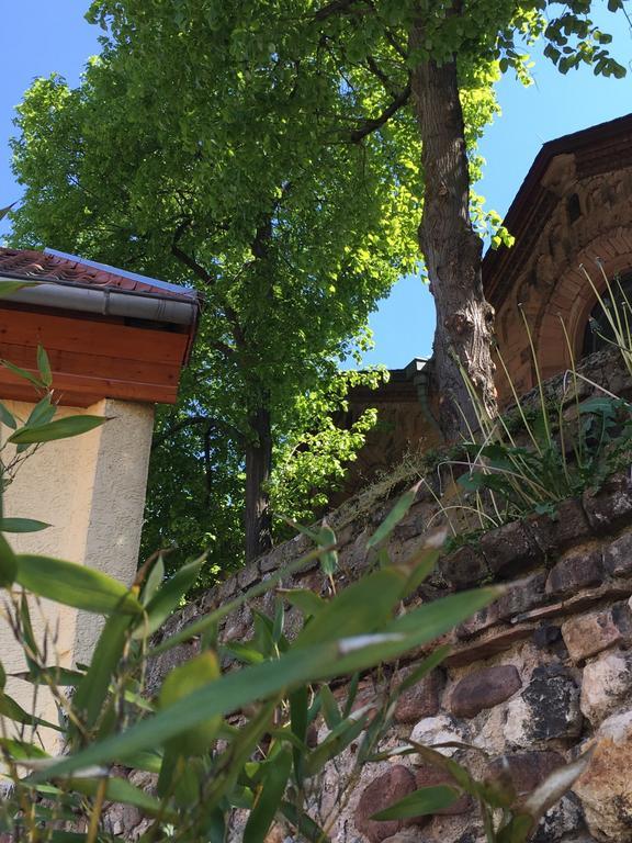 Ferienhaus Zur Mainpforte Mainz Luaran gambar