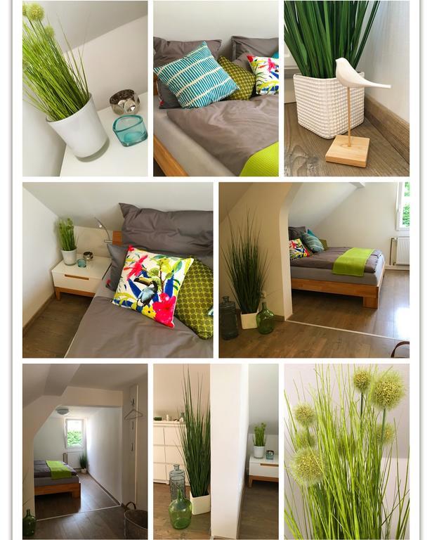 Ferienhaus Zur Mainpforte Mainz Luaran gambar